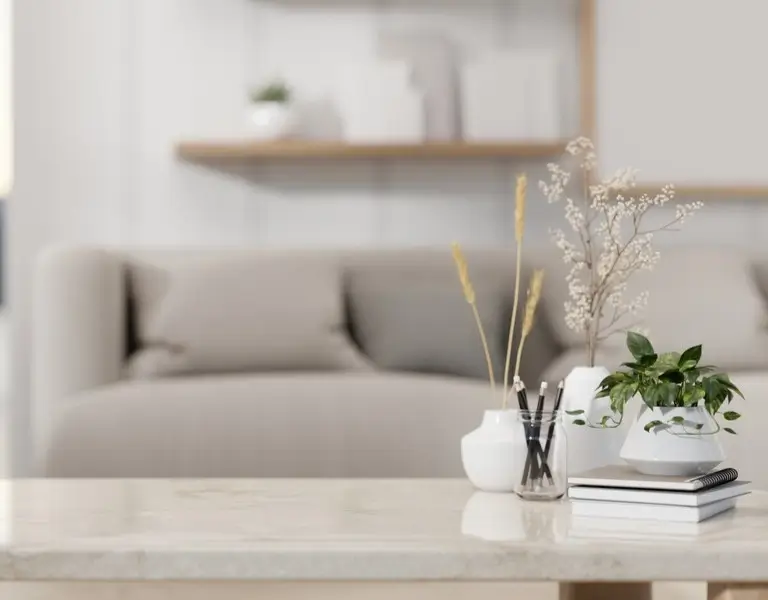 Cleaning Service